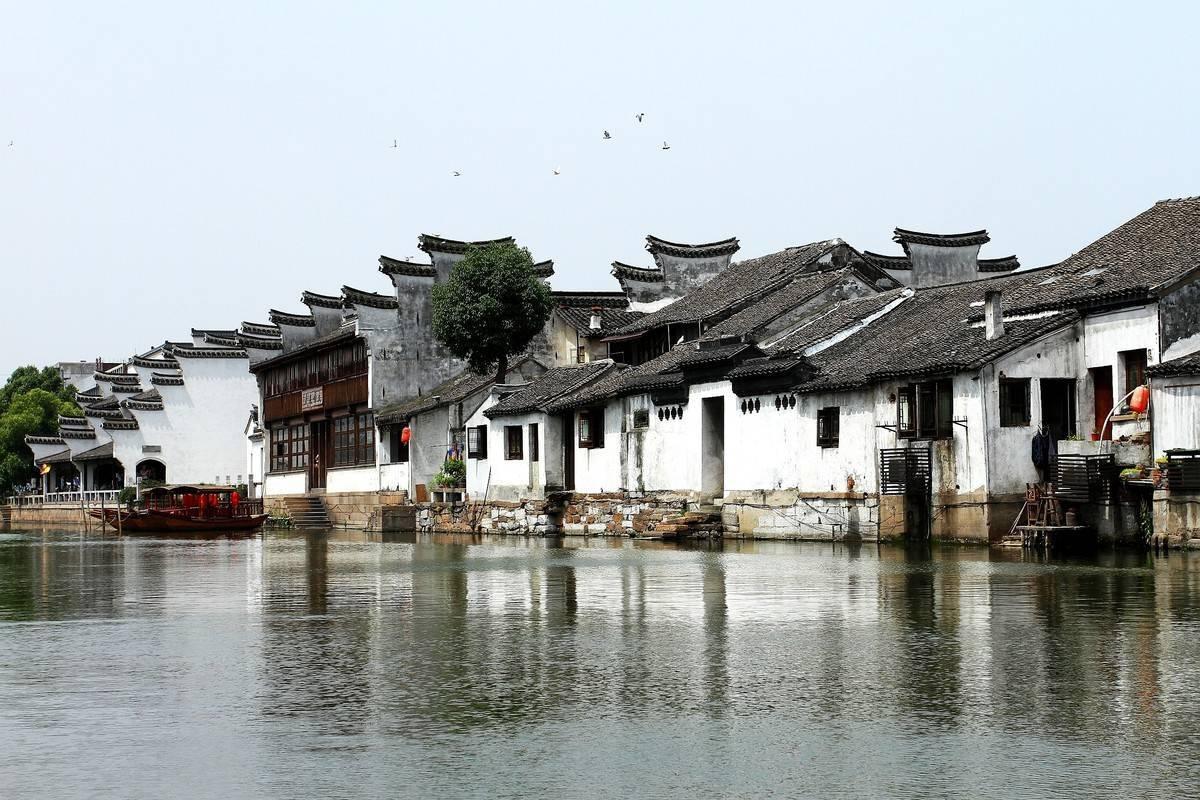 拯救小萌虎